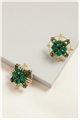 North Star Crystal Stud Earrings